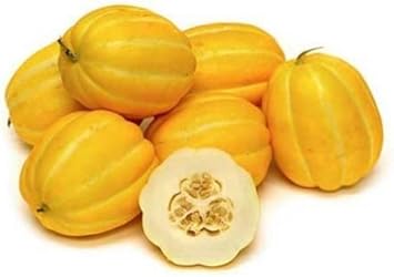 Gold Neungju Vegetable Seeds for Planting, heirloom & Non-GMO Seeds