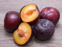 Burgundy Alubukhara (Plum) Fruit Seeds for Planting - Sweet, Tangy Plums in Burgundy Color ,GMO Free