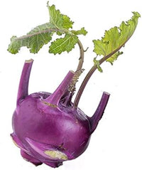Purple Kohlrabi Vegetable Seeds for Planting - heirloom & Non-GMO garden Seeds