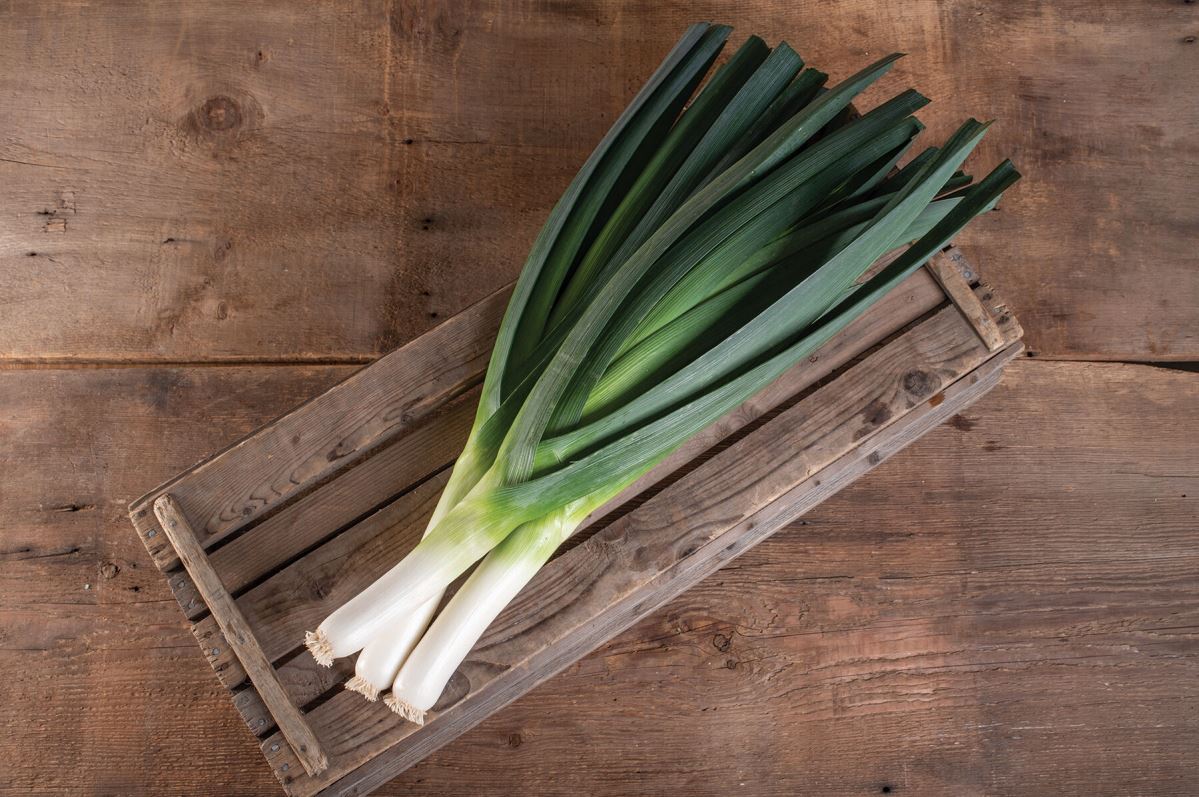 Jumper – Leek Seed