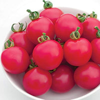 Tomato Solanum lycopersicum Vegetable Seeds for Planting Pink Variety in Kitchen Garden