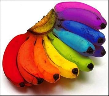 Mixed Colour Banana Fruit Seed for Planting - Heirloom & Non-GMO Seeds