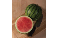 Ocelot – Watermelon Seed