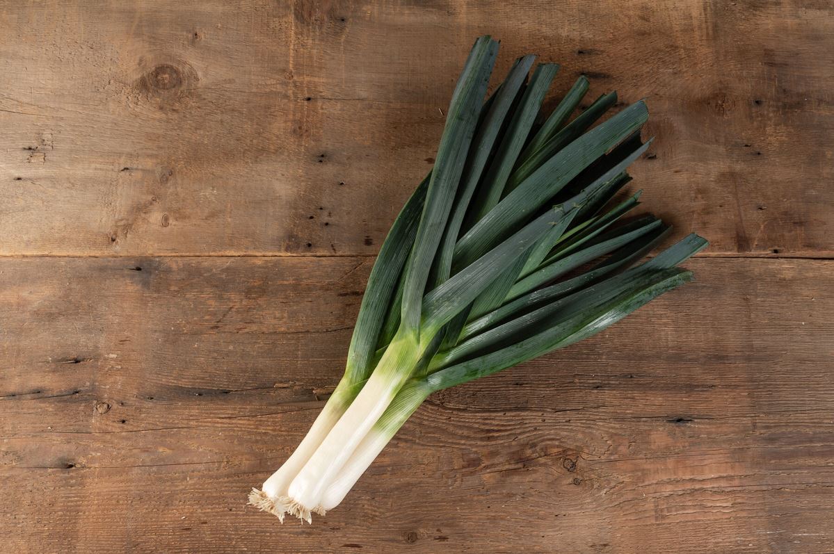 Surfer – Organic Leek Seed