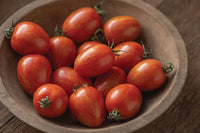 Red Torch – Tomato Seed