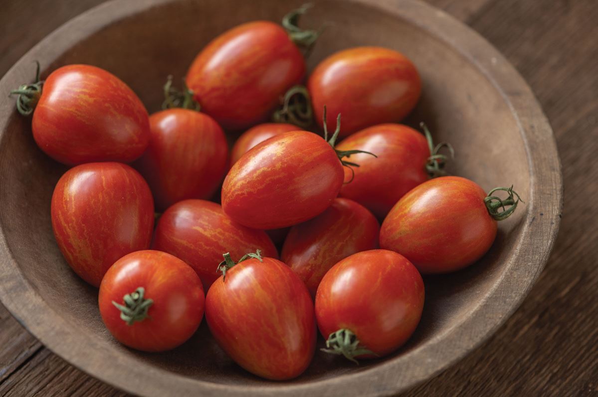 Red Torch – Tomato Seed