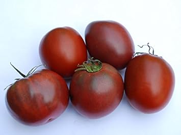 Maroon Tomato Seeds for Planting - 100 pcs