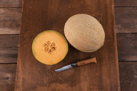 Triton – Melon Seed