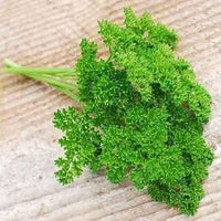 Lettuce Flower Seeds for Planting - 100 pcs