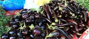 Mixed eggplant Solanum melongena seeds for planting in home garden
