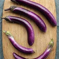 Eggplant Vegetable Seeds for Planting - 100 pcs