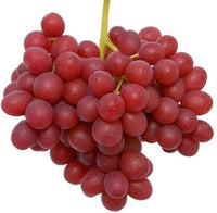 Red Grape Fruit Seeds for Planting - Plant Your Own Vineyard for Fresh Grapes,Heirloom Seeds