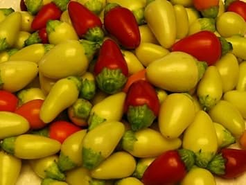 Cascabella Hot Pepper Seeds for Planting - 100 pcs