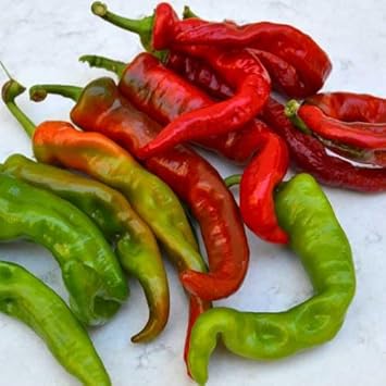 Anaheim Pepper Seeds for Planting, 100 pcs