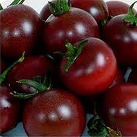 Tomato Seeds for Planting, Maroon, 100 pcs