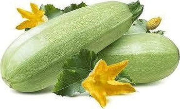 Carnival F1 Squash seeds – colorful hybrid squash with striped skin