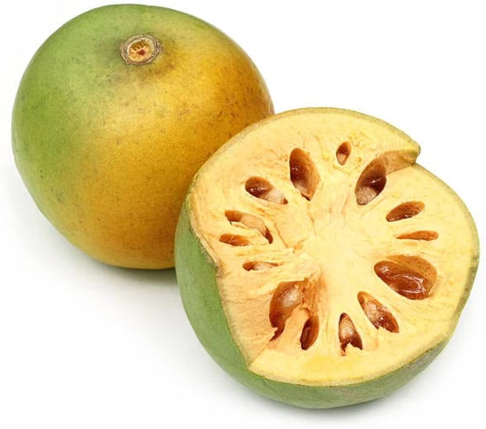 Aegle marmelos Fruit Seeds for citrus gardens