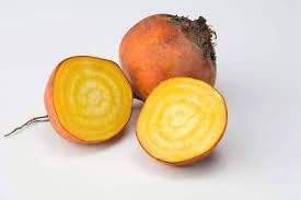 Boldor Beet Beta vulgaris seeds for garden planting