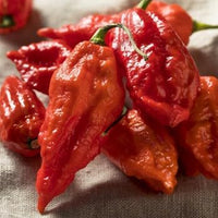 Bhut Jolokia Pepper Vegetable Seeds for Planting - heirloom & Non-GMO Seeds