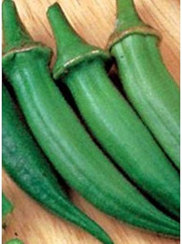 Cajun Delight Okra Seeds for Planting - Fresh Vegetable NON GMO Seeds