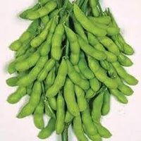 Soybean Vegetable Seeds for Planting, 100 pcs
