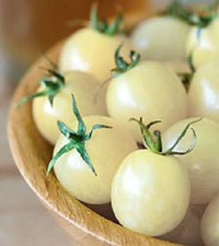 Washington (cherry tomato) for planting in garden