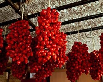 Piennolo Tomato Vegetable Seeds for Planting - Heirloom & Non-GMO Seeds