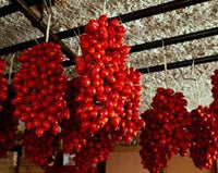 Piennolo Tomato Vegetable Seeds for Planting - Heirloom & Non-GMO Seeds