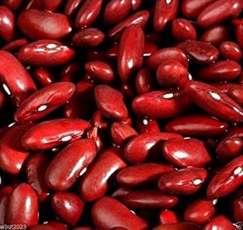 Dark Red Kidney Bean Seeds for Planting, heirloom & Non-GMO Seeds