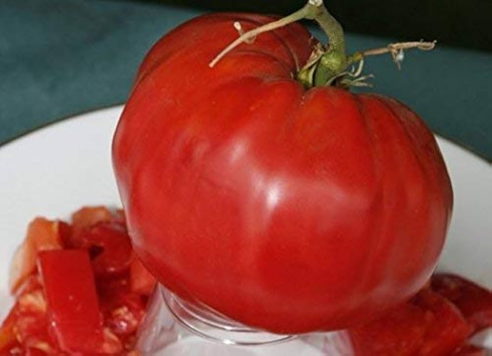 Altdeutsche (tomato heirloom) for planting in garden
