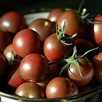 Light Brown Tomato Vegetable Seeds for Planting - heirloom & Non-GMO Seeds