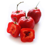 Red Rocoto Aji Locoto Capsicum Pubescens Hot Chili Pepper Seeds for Planting - heirloom & Non-GMO Garden Seeds