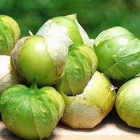 Green Tomatillo Vegetable Seeds for Planting heirloom & Non-GMO Seeds