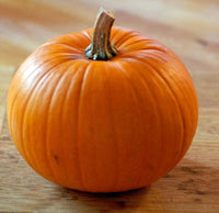 Gumdrop PMR – Pumpkin Seed