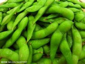 Edamame Soybean Glycine max seeds for garden planting