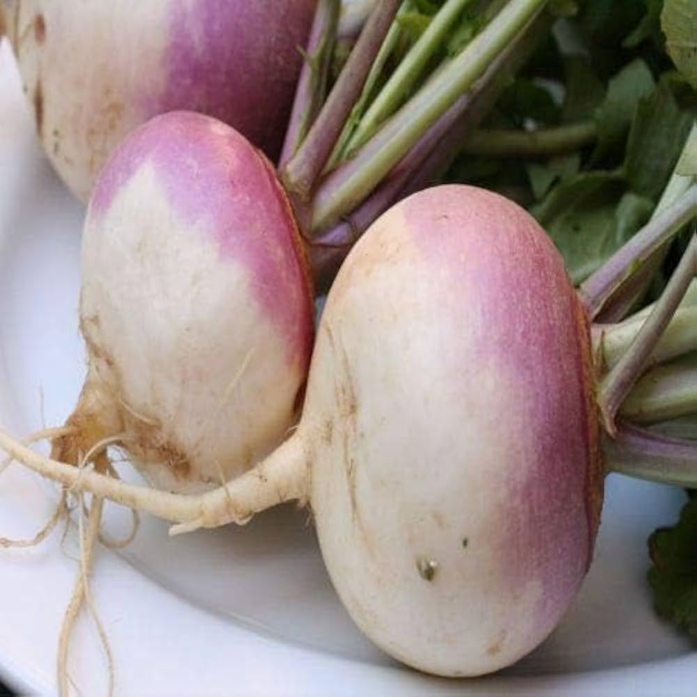 Slicemaster Vegetable seeds – perfect for fresh slicing vegetables