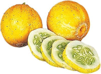 Lemon – Organic Cucumber Seed