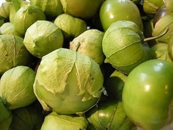 Green Tomatillo Vegetable Seeds for Planting heirloom & Non-GMO Seeds