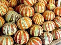 Kajari Melon Fruit Seeds for Growing Sweet and Juicy Melons 100 pcs