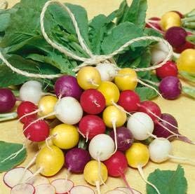 Mixed Radish Seeds for Planting - heirloom & Non-GMO Seeds