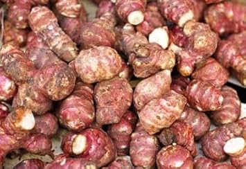 Fuseau Vegetable Seeds for Planting - 100 pcs