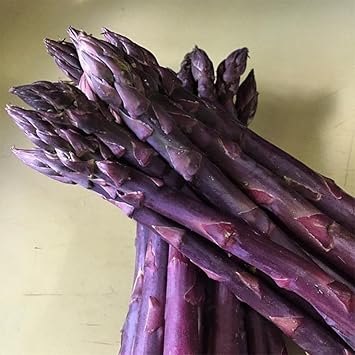 Purple Asparagus Seeds for Planting - 120 pcs