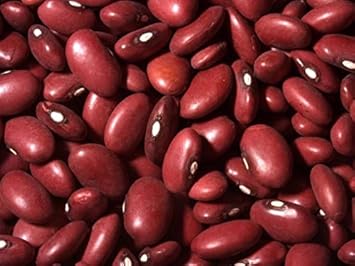 Red Bean Seeds for Planting - heirloom & Non GMO Seeds