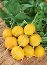 Radish Seeds for Planting Yellow - 100 pcs