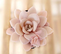 Light Pink Heirloom Echeveria Plant Seeds, Non-GMO Rosette Succulents for Decorative Garden Planting for planting in home garden