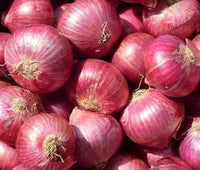 Onion Allium cepa Vegetable Seeds for Planting Ruby Red Variety in Kitchen Garden
