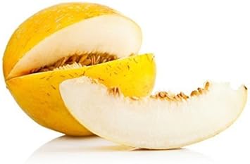 Yellow Casaba Melon Seeds – Sweet, Yellow Melons for Planting in Your Garden