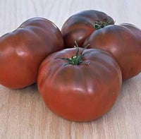 Marron Tomato Seeds for Planting - 100 pcs