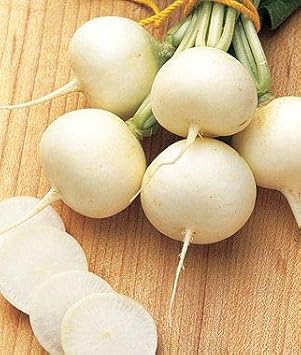 White Radish Seeds for Planting - 100 pcs