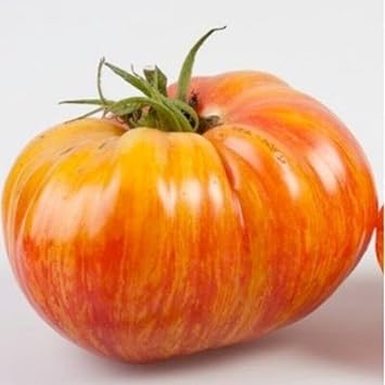 Rainbow Giant Beefsteak Tomato Seeds for Planting heirloom & Non-GMO Seeds